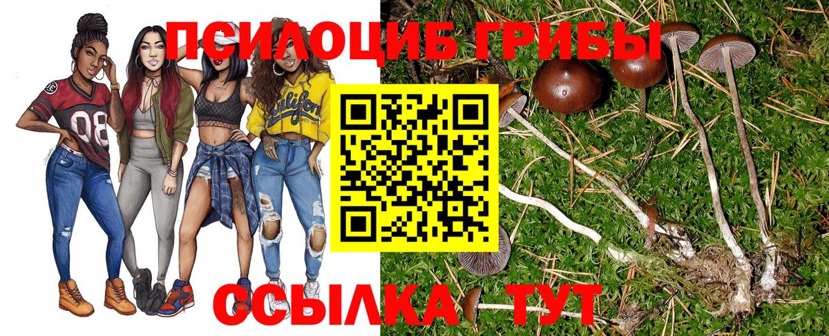 Шахты  Псилоцибиновые грибы мицелий  Вход с VPN 